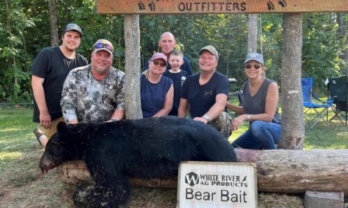 bear 2 (2) bear 2 (2)